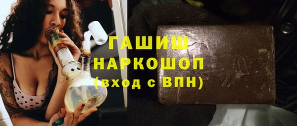 гашик Алексин