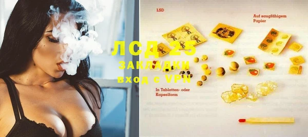 гашик Алексин