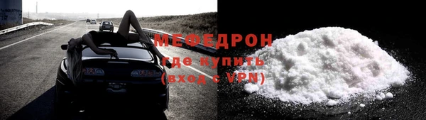 шишки Надым