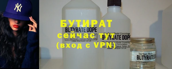 гашик Алексин