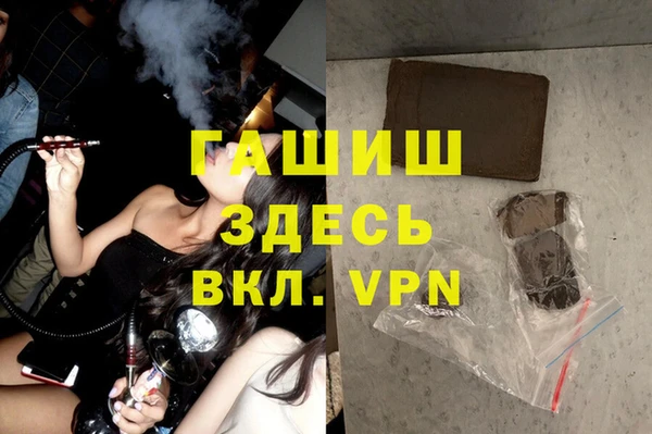 гашик Алексин