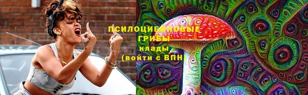 гашик Алексин