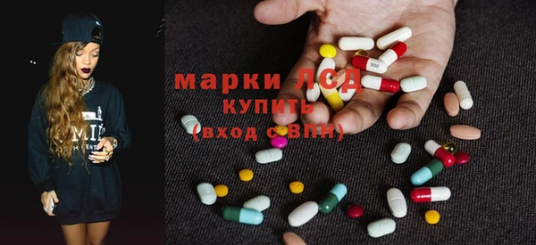 гашик Алексин