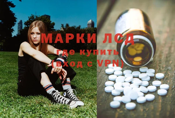 гашик Алексин
