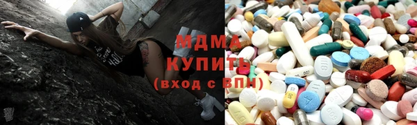 гашик Алексин