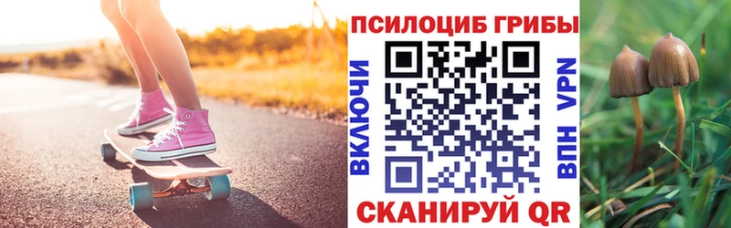 Псилоцибиновые грибы Psilocybe  что такое наркотик  Павловская 