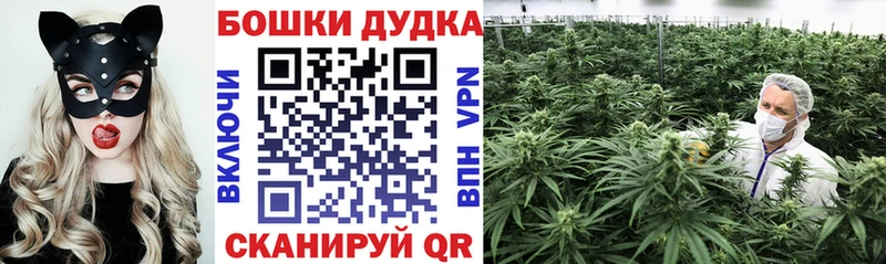 Марихуана VHQ  нарко площадка телеграм  Павловская  даркнет сайт 